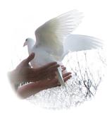True_Dove_Ways_release_another_dove_for_love